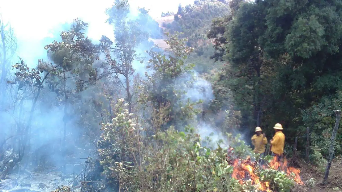 Incendio en reserva de la monarca